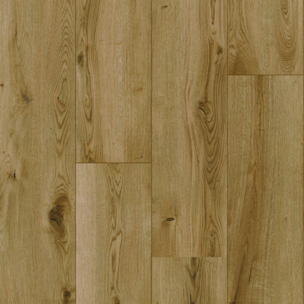 Cortona Plus Thatch Brown Swatch