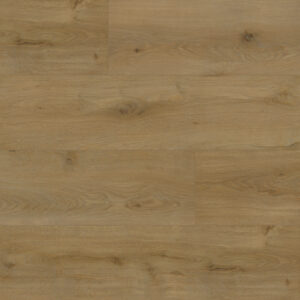 Brago Roasted Coconut Swatch