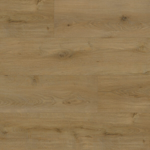 Brago Roasted Coconut Swatch