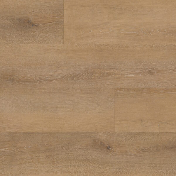 Cortona Plus Butter Pecan Swatch